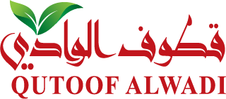 Logo 16